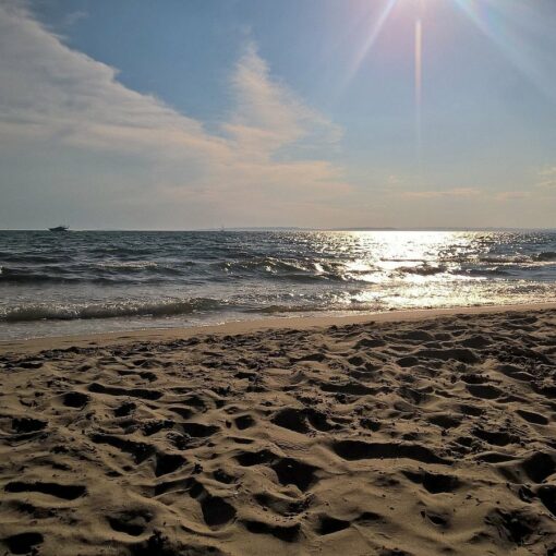 Espiguette-Beach-in-Occitanie-Travel-France-Vacation-